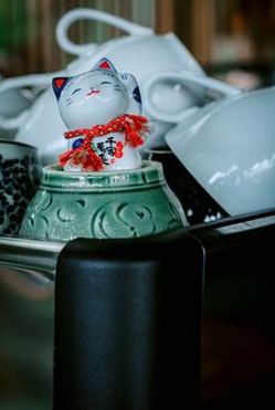làm sao để chơi theo kế hoạch